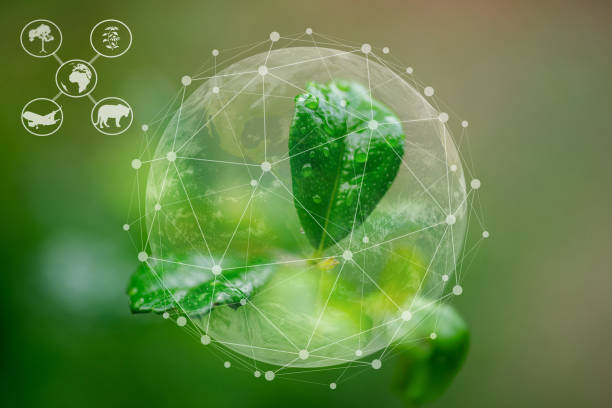 istock Ecosystem and preserve nature and sustainable 1834495000