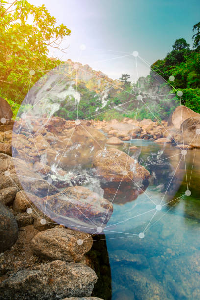 istock Ecosystem and preserve nature and sustainable 1834495096