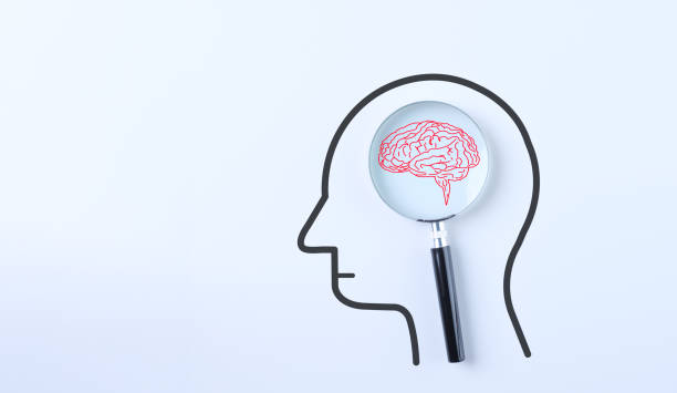 istock Cognitive problem and brain diseases concept. Magnifying glass focus human brain icon with human drawing. Intelligence memory, Mental health, Education, innovation, psychological analysis, illness, 1834500961