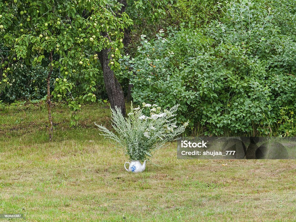 Cerefólio e wormwood Scrubs cacho de porcelana bule de chá antes de macieira - Foto de stock de Absinto - Planta royalty-free