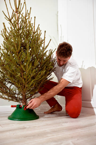 istock Young man sets up a Christmas tree in his apartment. Handsome guy is going to decorate a live fir tree to celebrate Christmas and New Year in his home. Preparations for a home holiday. 1834520970