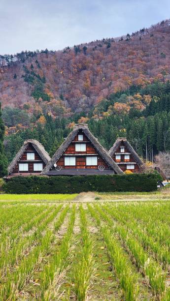 istock Shirakawago traditional house 1834529006