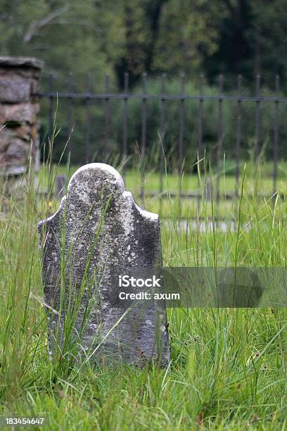 Cementerio Única Piedra De Vegetación Hierba Foto de stock y más banco de imágenes de Aire libre - Aire libre, Campo - Tierra cultivada, Cementerio