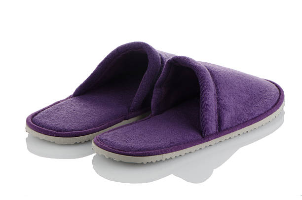 istock Pair of purple slippers 183455572