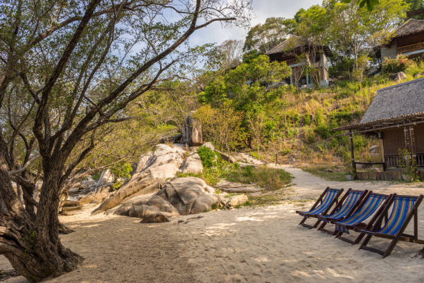 istock Empty sun beds in the shade of trees on solitude tropical sand beach 1834618100