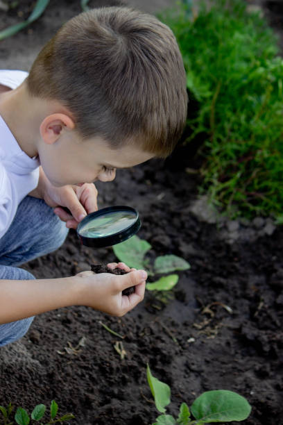 istock The child examines the ground with a magnifying glass. Selective focus. 1834620208