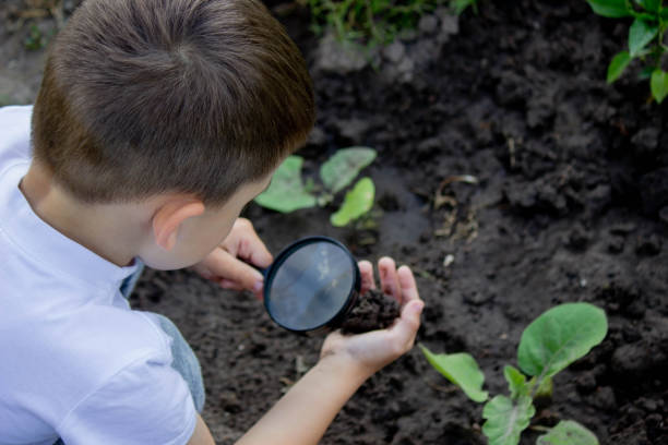 istock The child examines the ground with a magnifying glass. Selective focus. 1834620221