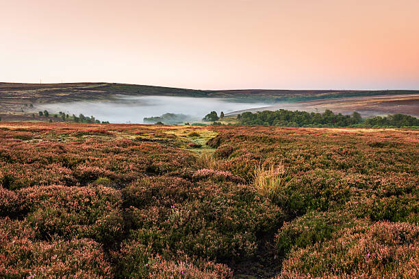 istock Mist over the North York Moors, Yorkshire, UK. 183462064