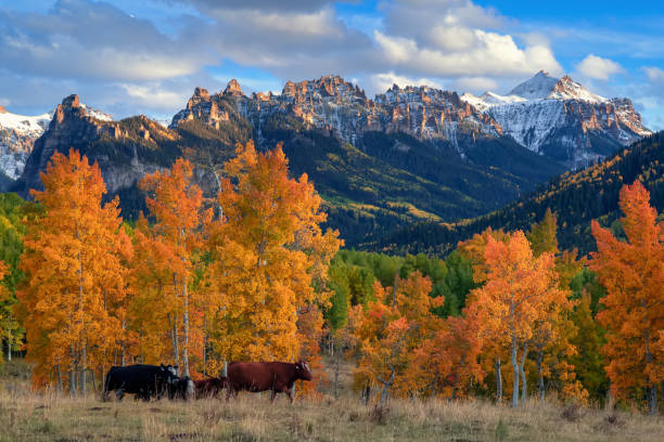 istock Kebler Pass in Colorado, USA. 1834622341