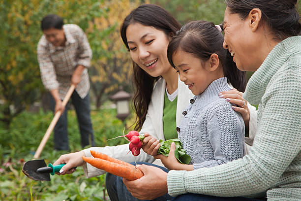 feliz familia de recolección de vegetales de jard�ín - planting clothing gray hair human age fotografías e imágenes de stock