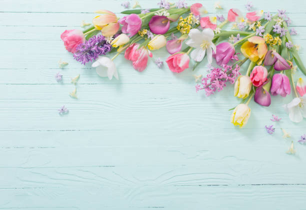 istock spring flowers on blue  wooden background 1834626736