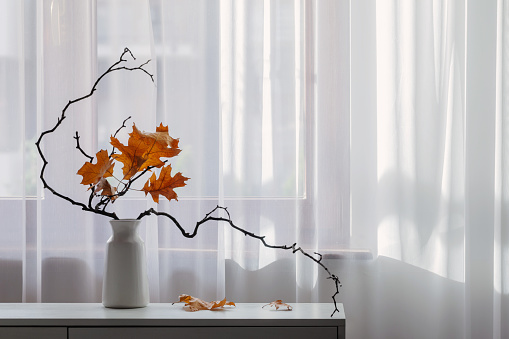 autumn composition on background window