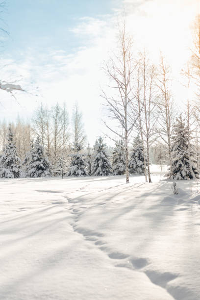istock Snowy landscape in sunny day 1834628952