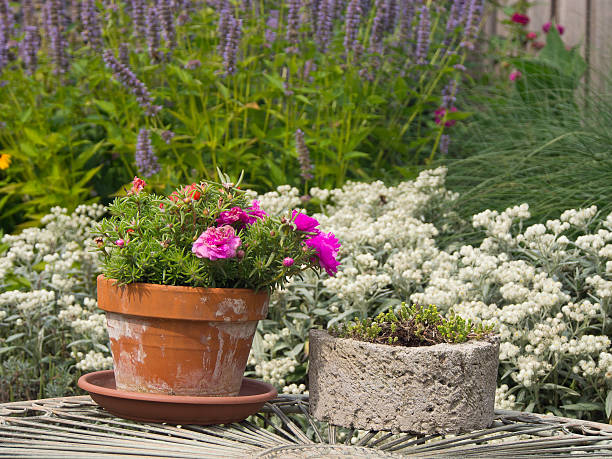 istock in the garden 183463266