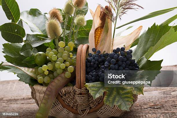 Autumnal Still Life With Grapes Corn Cob And Ear Stock Photo - Download Image Now - Agriculture, Autumn, Backgrounds