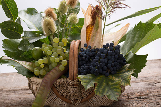 autumnal natureza-morta com uvas, milho de carolo e orelha - corn on the cob corn crop food and drink healthy eating imagens e fotografias de stock
