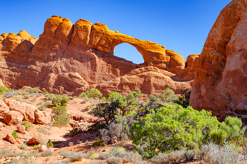 View of Delicate Arch with the La Sal Mountains in the background. Arches National Park. American Southwest.