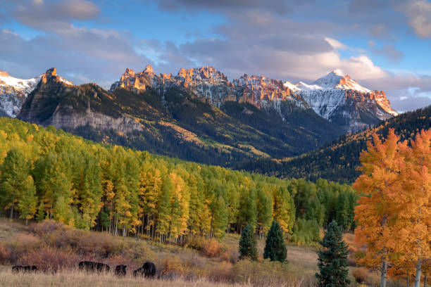 Kebler Pass in Colorado