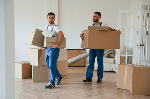 istock Boxes in hands. Two moving service employees in a room 1834676433