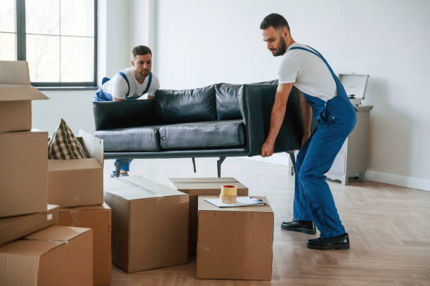 Sosteniendo un sofá pesado. Dos empleados de servicio de mudanza en una habitación