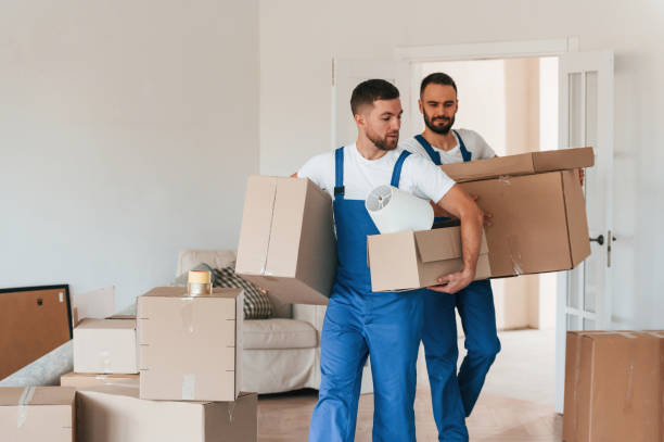 istock Front view, holding stuff. Two moving service employees in a room 1834689865