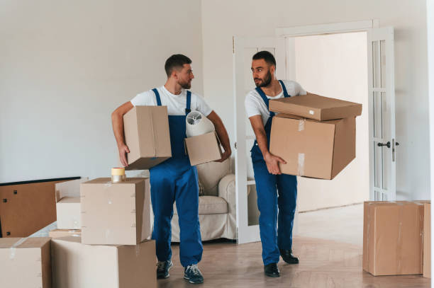 istock Front view, holding stuff. Two moving service employees in a room 1834689867