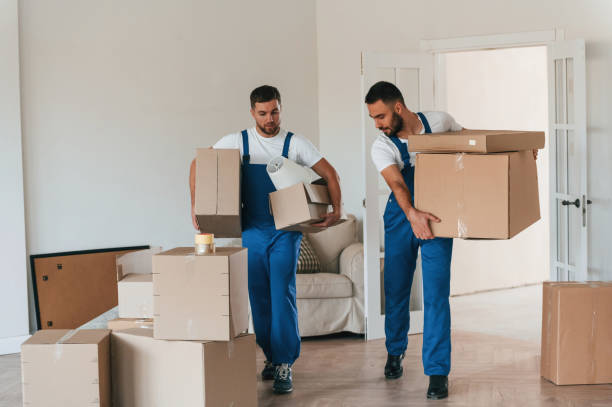 istock Front view, holding stuff. Two moving service employees in a room 1834689871