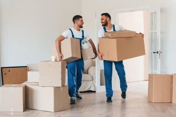 istock Front view, holding stuff. Two moving service employees in a room 1834689888