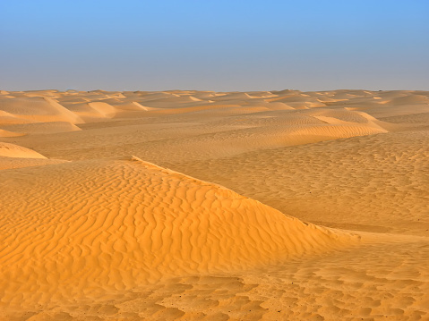 sand dunes of the desert