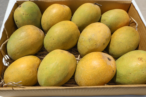 Mangos Alphanso Ratnagiri dispuestos en una caja para vender y comprar , Mangos Fondo photo