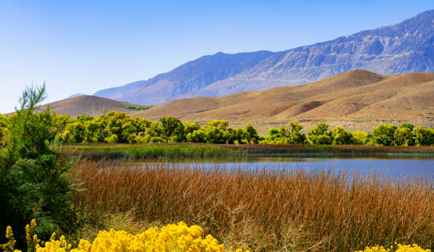 Diaz Lake along the Scenic Byway 395 near Lone Pine, California, in Summer with Alabama Hills and Sierra Nevada in the background