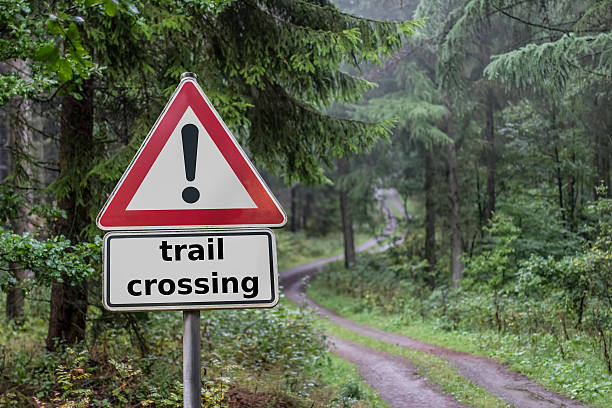 istock trail crossing sign in the forest 183474226
