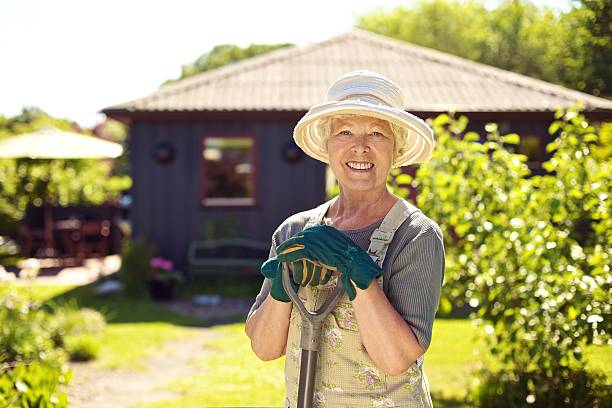 istock Cheerful elder woman with gardening tool in backyard 183474892