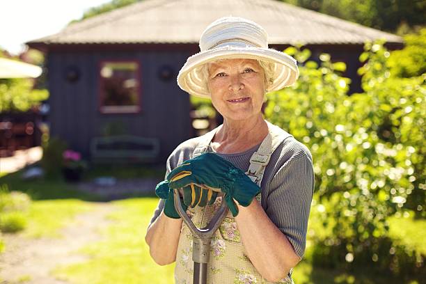 istock Senior female gardener in backyard with shovel 183474893