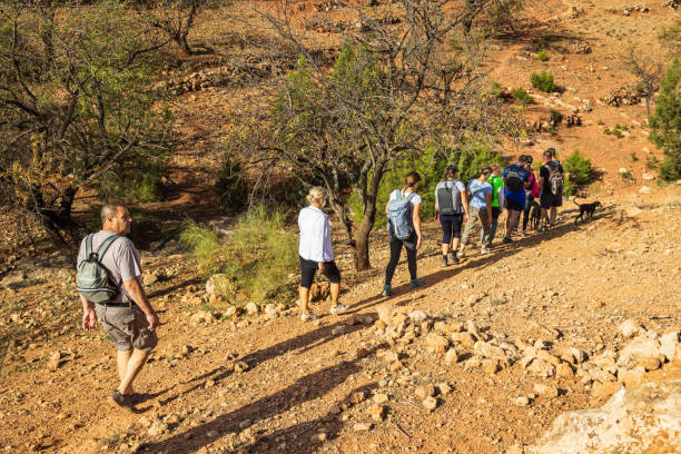 Free Stock Photo of Group of People Walking Down a Dirt Road | Download ...