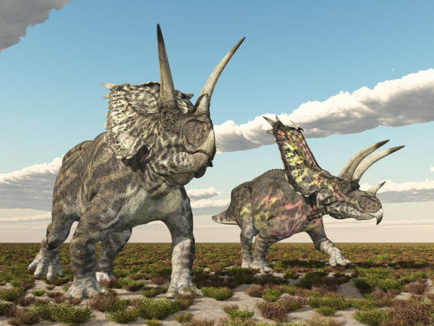 istock Dinosaur Pentaceratops in a landscape 1834778404