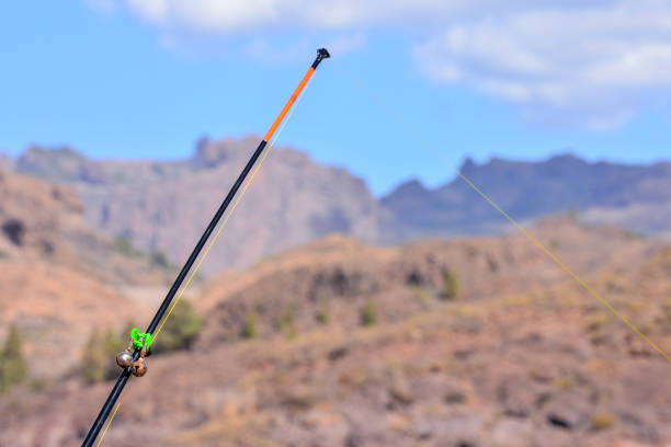 istock Fishing with rod on lake 1834780575