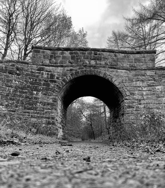 istock A disused railway tunnel 1834798193