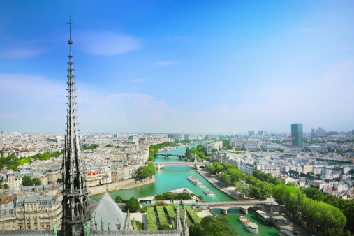 Panorama of Paris from Notre dame cathedral