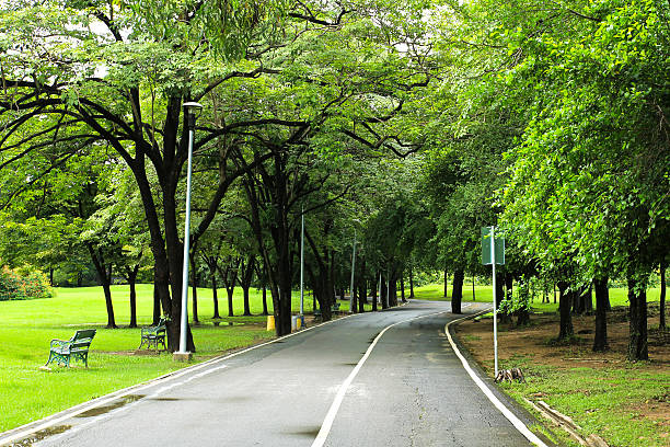 istock Green city park 183481746