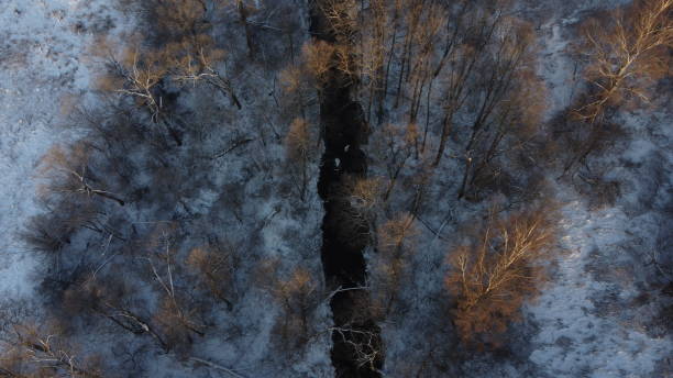 istock Frosty November. View from above 1834825539