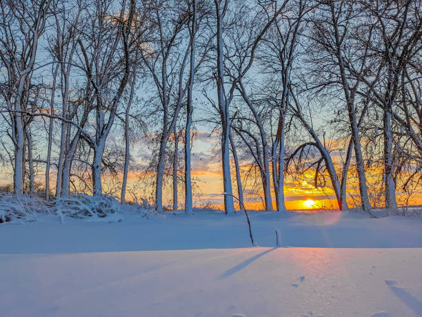 Country winter landscape, covered in snow at sunset