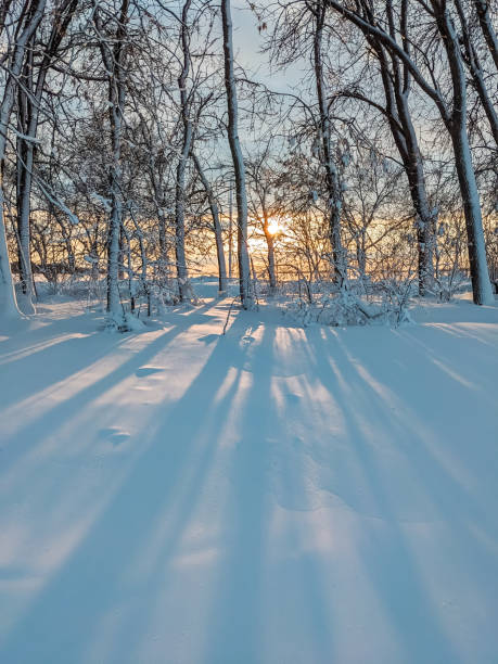 istock Country winter landscape at sunset 1834827141