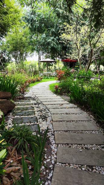 istock Pathway in the garden. 1834827692