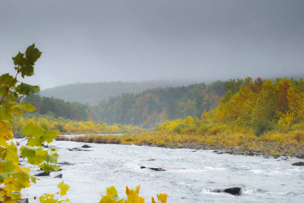 Susquehanna River in New York State.