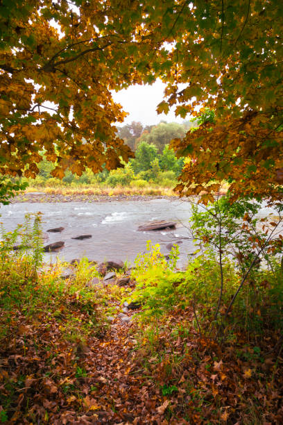 Susquehanna River in New York State.