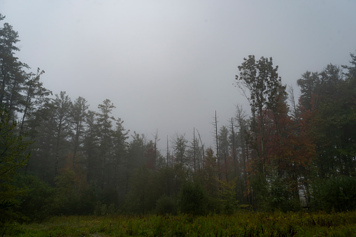 View of misty fog mountains in autumn