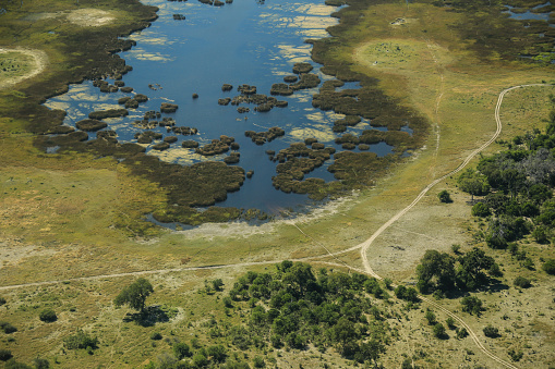 aerial view of partially flooded Okavango delta
