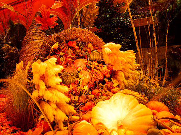 jesień wystawa - vegetabilis zdjęcia i obrazy z banku zdjęć