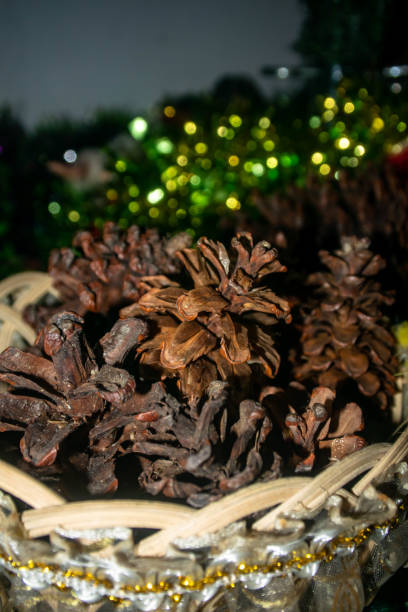 istock Whisper of the Woods: Pine Cones Cradled in Nature's Embrace 1834937993